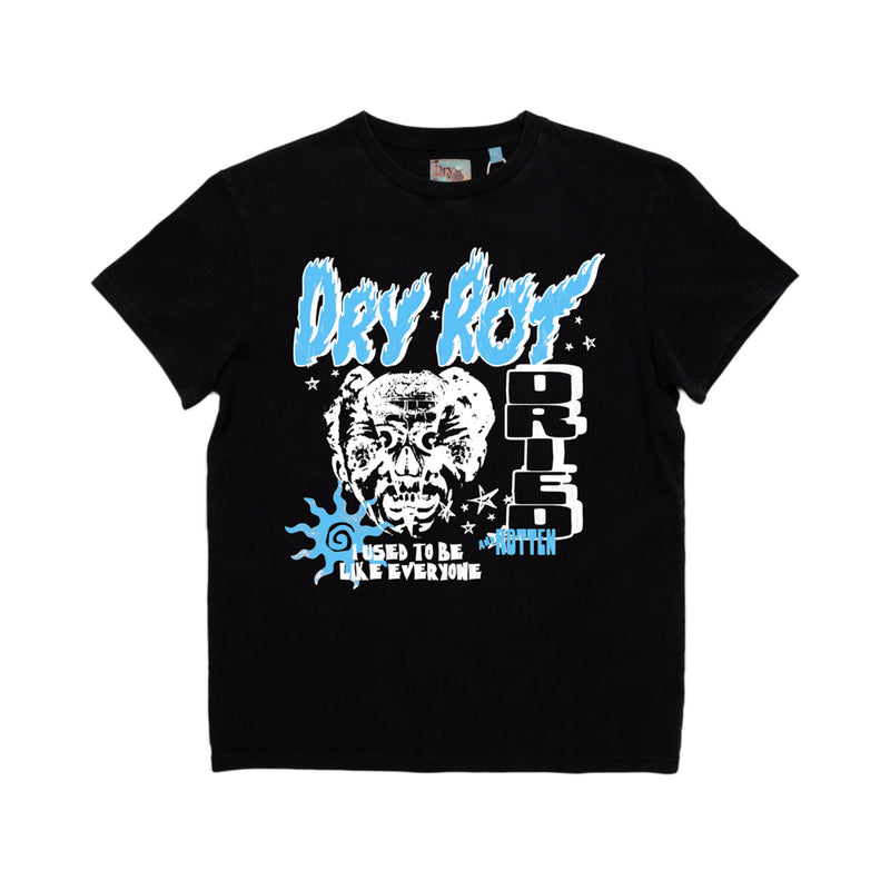 Dry Rot - Everything Tee